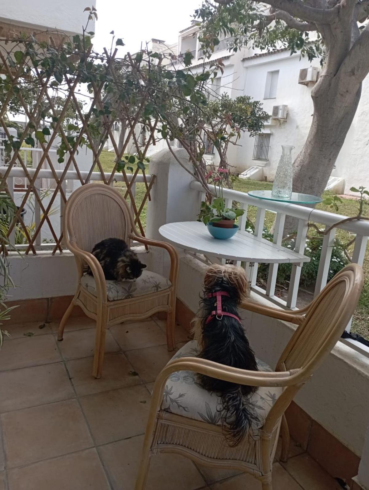 Apartamento Laguna Beach Torrox Costa Esterno foto